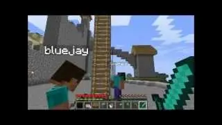 Minecraft-King of The Ladder