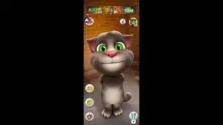 talking tom game