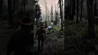 Как получить любую лошадь БЕСПЛАТНО в Red Dead Redemption 2 🐎