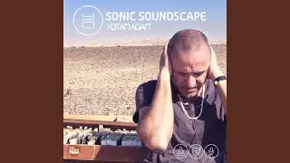 Oasis