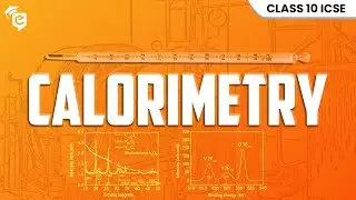 Basic Calorimetry | Mastering Heat Transfer Like a Scientist | e-Tuitions | Dhiman Datta Sir