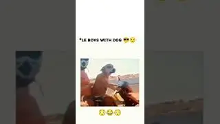guys with dogs 🤠 | #dog #riding  #bike
