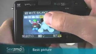 Panasonic GF1: Basic Picture Guide