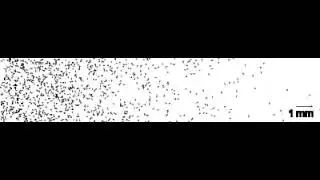 Exhaustion of racing sperm in nature-mimicking microfluidic channels during sorting