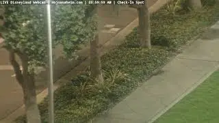 Mattercam 01/25/2026 16:16 - LIVE DISNEYLAND Webcam from Howard Johnson Hotel Anaheim