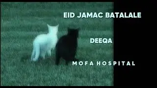 Eid jaamac batalaale - deeqa 