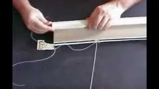 John Sitko Cell Shade Record