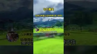没有靠山没有背景，真的撑不住吗#格局#现实#靠山#背景#曾仕强教授#曾仕强