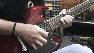 Seize The Day Guitar Cover