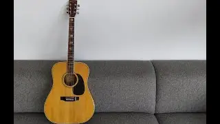 J. Watson & Co W-300 guitar Japan (Martin clone)