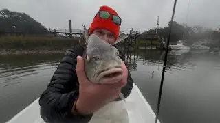 Redfish and Trout action in Charleston