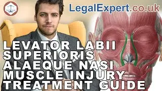 Levator Labii Superioris Alaeque Nasi Muscle Injury Treatment Guide ( 2021 ) UK
