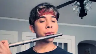 Jar of Hearts ~ Christina Perri (Flute Cover)