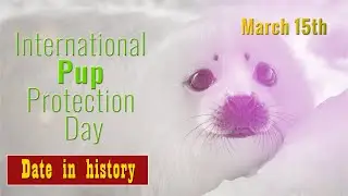International Pup Protection Day. Date in history! Important date! Conservation! Pup Protection. Pup