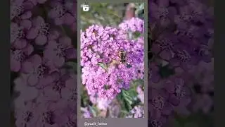 Осень может быть красивой🌸🌿