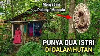 RUMAH POCONG SUMEDANG