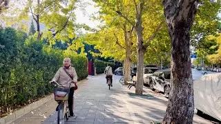 Beijing Walking,Walking on Hongjunying East Road in the morning, Autumn is coming【4K HDR】