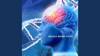 Brain Synchronization