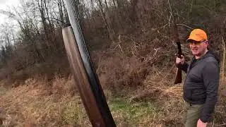 North Alabama Quail Hunting at Easter Ferry Hunting Preserve!