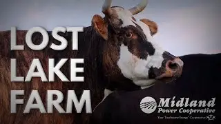 Lost Lake Farm