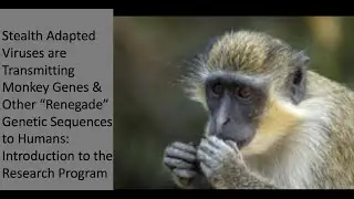 Renegade Sequences in Stealth Adapted Viruses:  Introduction to Dr. Martin's Research Program