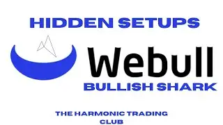 WEBULL'S HIDDEN SETUP | SHARK PATTERN