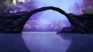 10 minutes of meditation music/ relaxing music/ stress release/ relief of mind #releasingnegativity#