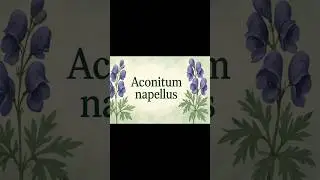 Aconite In Mnemonics; Remember Easily #Examseries #under1minute #homeopathy #aconite #mnemonic #easy