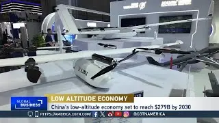 Global Business: China's Low Altitude Economy Soars Sky High