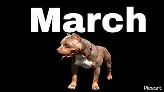 Your birth month your dog