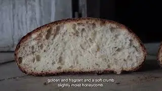 #AllaScopertaDellaNostraTerra | Il pane di Laterza