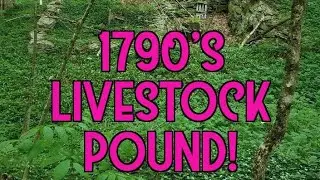 RELICS! At A 1790's LIVESTOCK POUND | Metal Detecting  (02)