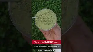 Mannavita B&uacute;zafű italpor