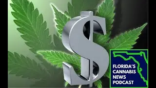THREE Reasons Why Congress Should Amend 280E