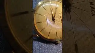 citizen ace parashock 21 jewels manual winding vintage watch