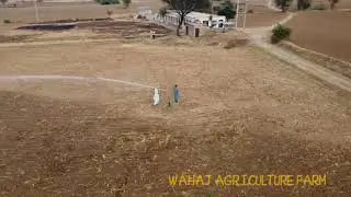 Peanut Irrigation with Rain gun