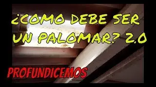 Palomas mensajeras & Colombofilia. EL PALOMAR  ¿Cómo debe ser un palomar? 2.0