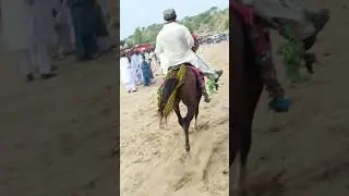 Brown Horse racing🏇 fast in mela|Crowd people looking horse racing|#brownhorse #horsetrack #horse