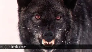 (((O))) - Death March