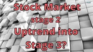 #19 how to understand stock fluctuations  (preparation for multiple scenarios)
