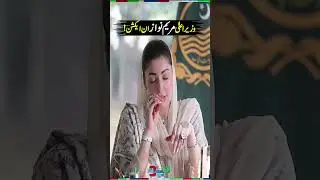 CM Maryam Nawaz in Action | #maryamnawaz #shorts