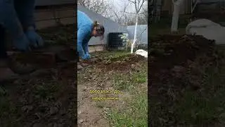 осталось немного сил на мои заброшенных #клубника  #дача