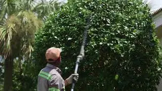 Estate Landscaping - Commercial & Residential - Fort Myers
