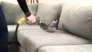 Furniture Steam Cleaning - Dupray Tosca&trade; Steam Cleaner