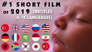 THE HUMAN USER MANUAL- SHORT FILM