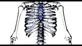 Sweeper - (No Heart Remix Instrumental Prod. by Russ808)