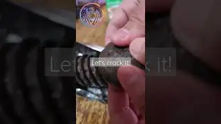 #asmr Thin mints chocolaty flavored Girl Scout Cookies cracking sound #chocolate #cookies #mint