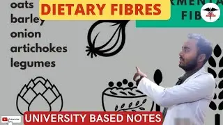 Dietary Fibers || Importance of Dietry fibers.