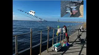20250809 安平北堤  漁獲滿滿滿滿滿滿
