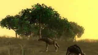 SPORE AFRICA